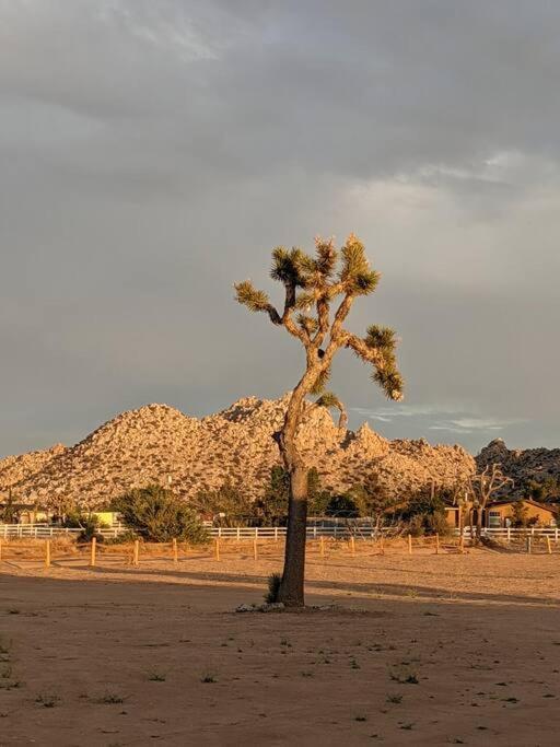 Villa Chasing The Moon: Expansive Tub Views Near Pappy'S à Pioneertown Extérieur photo